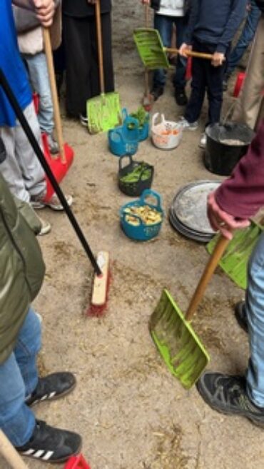 🦊 Wir vierten Klassen auf Klassenfahrt! 🦉
