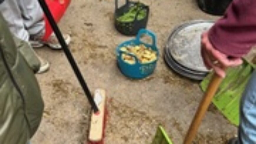 🦊 Wir vierten Klassen auf Klassenfahrt! 🦉